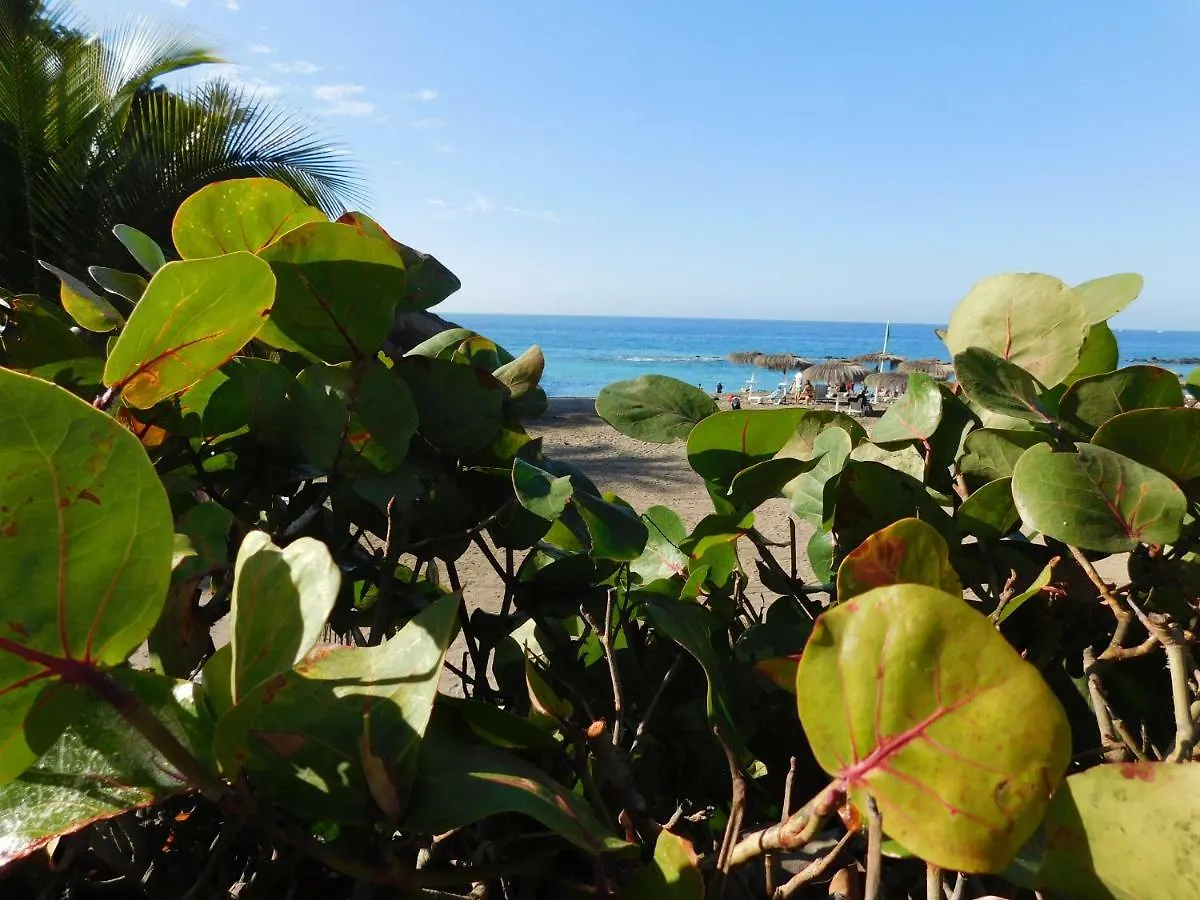 Brisas Del Mar Apartment Costa Adeje