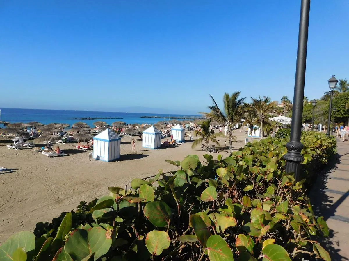 Apartamento Brisas del Mar Costa Adeje   Costa Adeje (Tenerife)