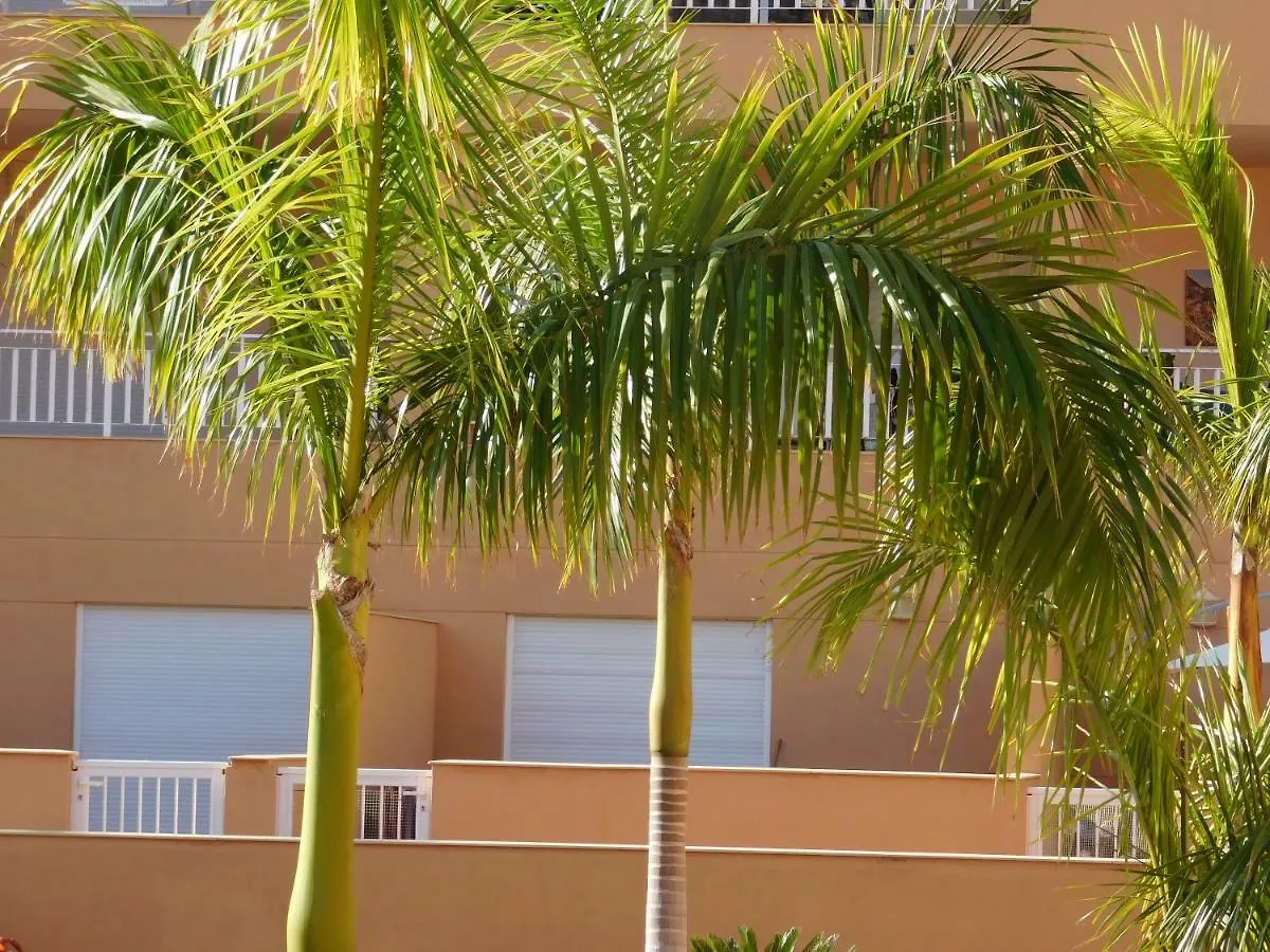 Brisas Del Mar Apartment Costa Adeje  Spain